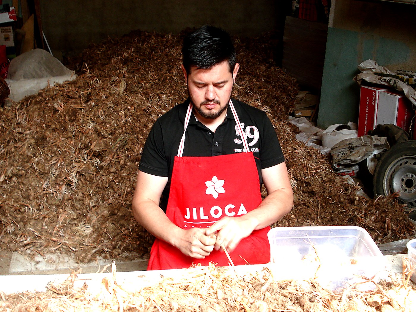 Jos&eacute; nettoie les bulbes